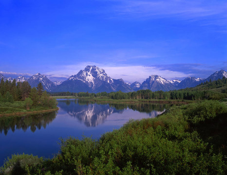 mtmoran