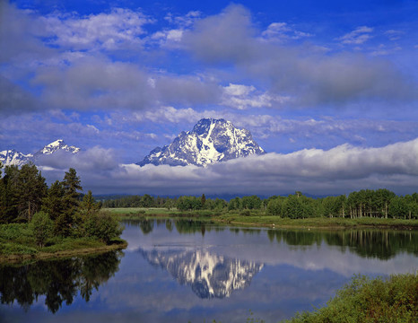 mtmoran