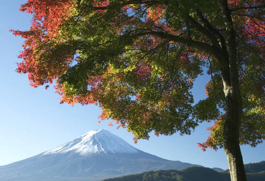 秋季富士山