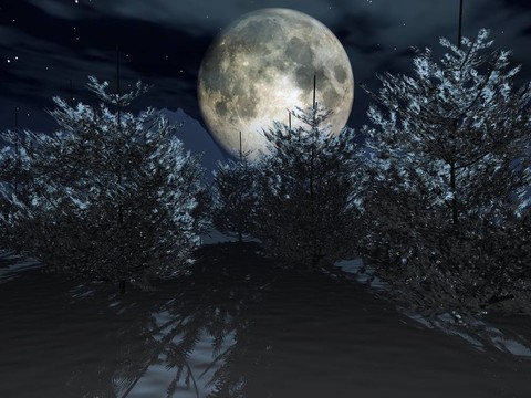 寒冬之夜