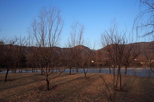 冬景