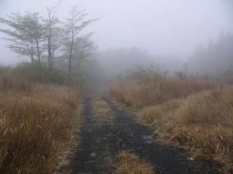 霧蒙蒙的山路
