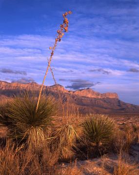 guadalupemtnsunset