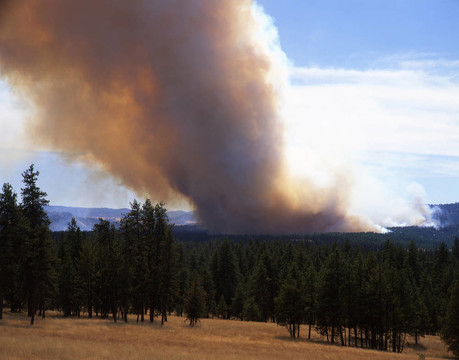 forestfirehorizontal