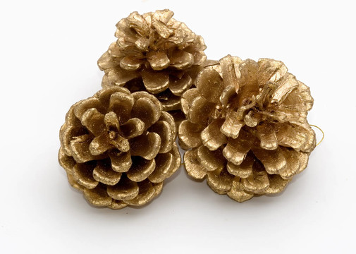 金松錐
