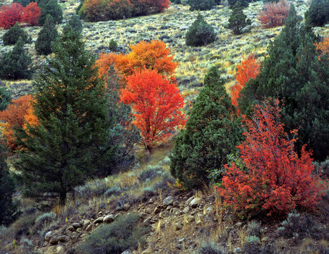 logancanyonhillside