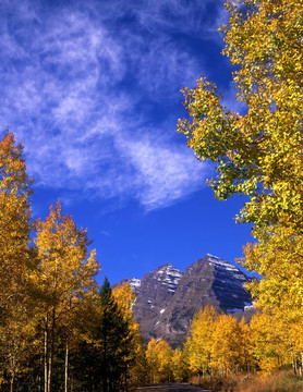 maroonbellsvertical