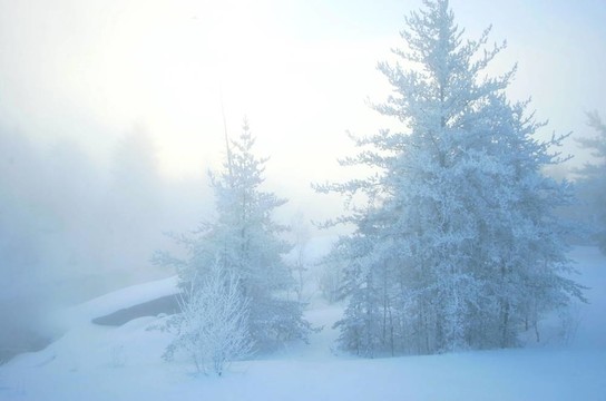 - 35c景觀