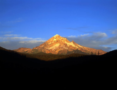 mthood