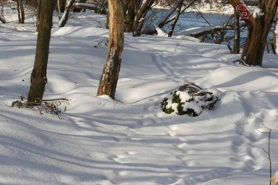 雪