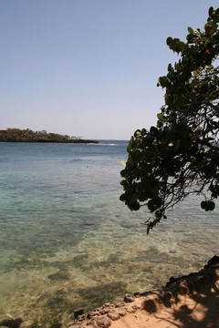 羅阿坦島洪都拉斯海岸線(xiàn)