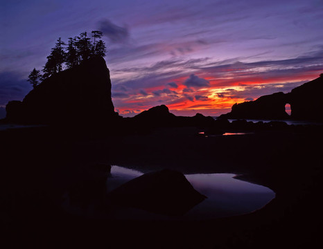 olympiccoast