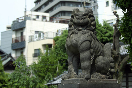 警衛(wèi)