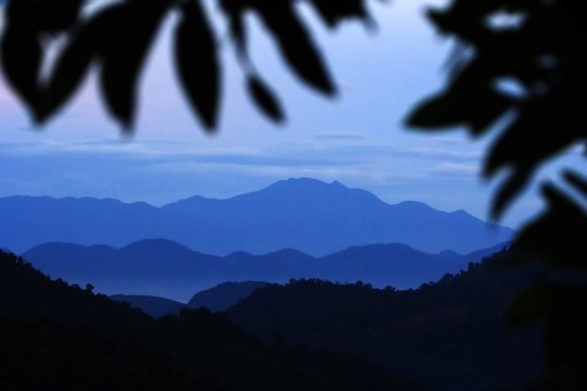 山