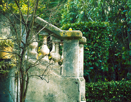 法國(guó)的綠色花園