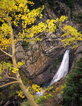 yellowforestwaterfal