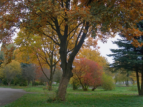 秋天的公園2