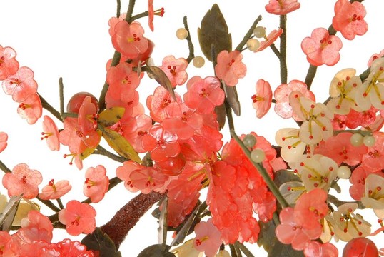玉櫻4