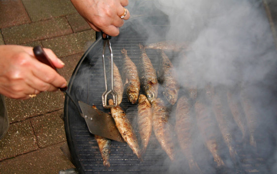野餐燒烤魚