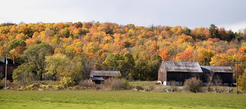 谷仓和秋天的颜色