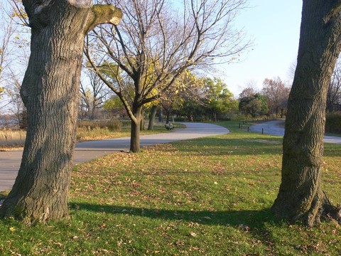 公園00741