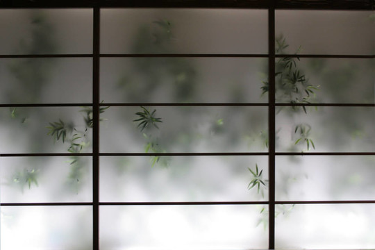 竹