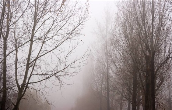 霧