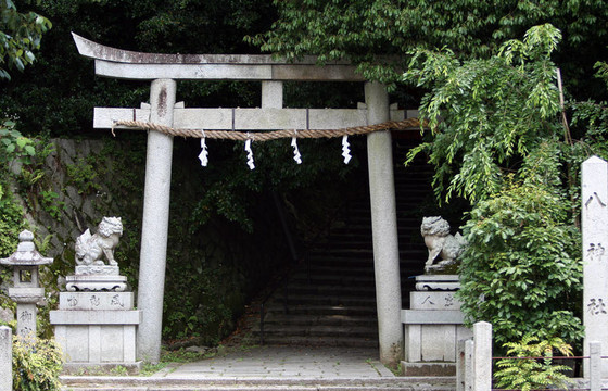 托里