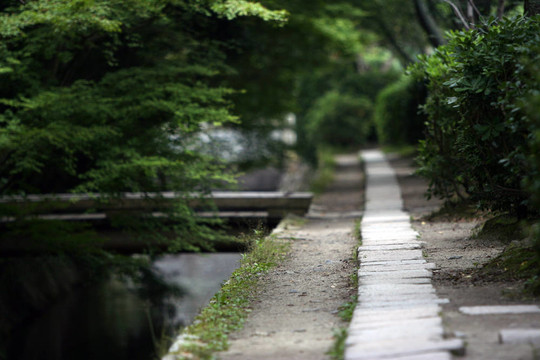 京都
