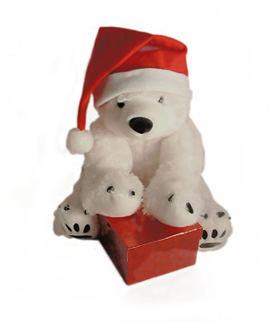 polarbear4