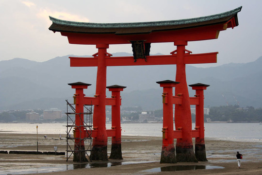 宮島達男環(huán)面