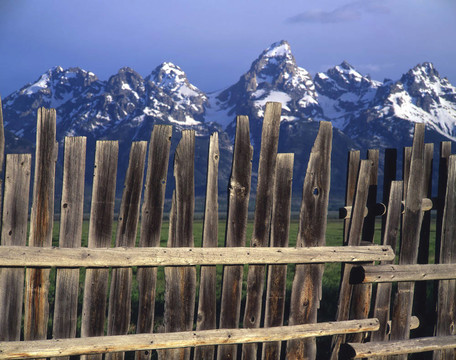tetonfence