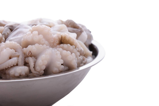 章魚(yú)