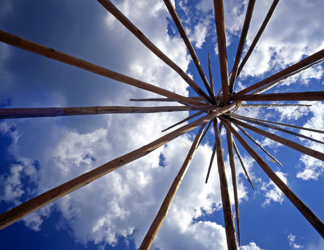 tepeelodgepole