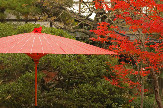 紅色的日本傘