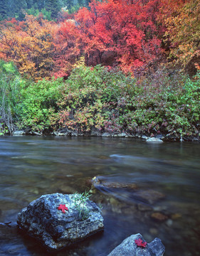 loganriverrocks