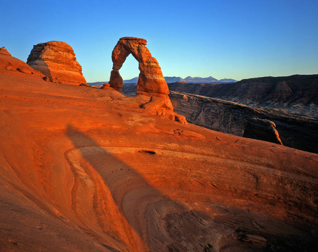 delicatearch（H）