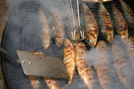野餐燒烤魚