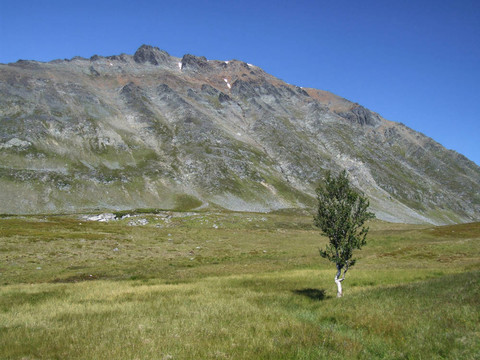 寂寞的白的白的和風(fēng)景的山脈