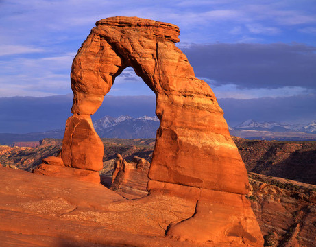 delicatearch5（H）（T）