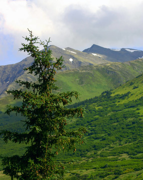 阿拉斯加山