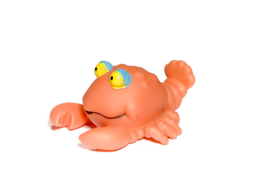 蟹