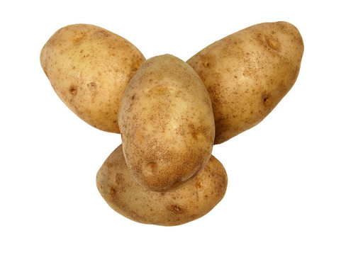 土豆