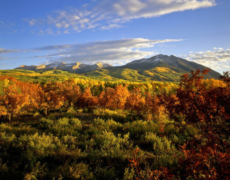 westbeckwithmountain