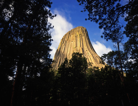 devilstower8