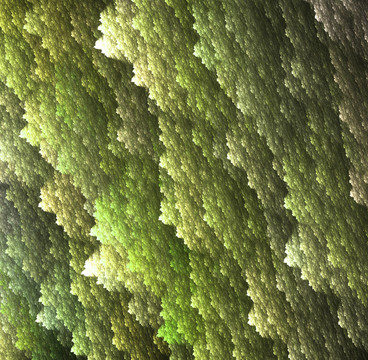 分形摘要