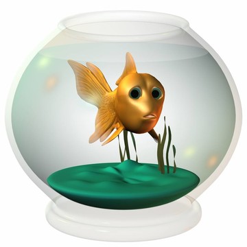 香椿魚