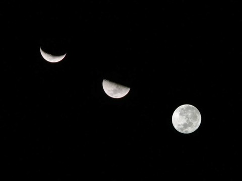 Moon復(fù)合