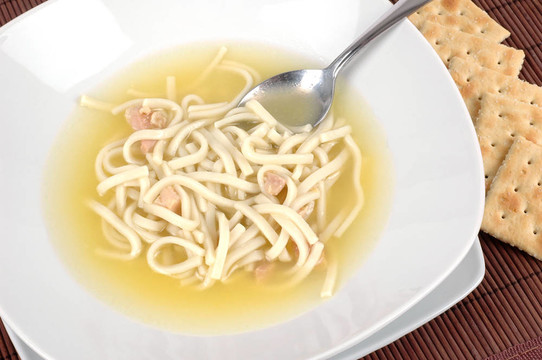 雞肉面條湯