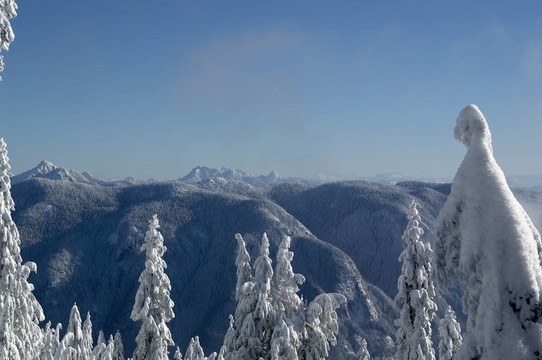 林海雪原